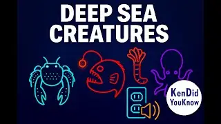 10 Deep Sea Creatures That Survive Impossible Conditions