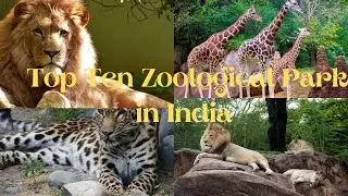 TOP 10 ZOOLOGICAL PARK IN INDIA