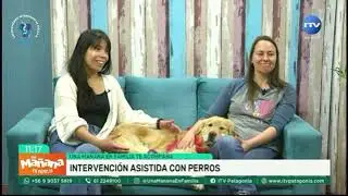 &iquest;Qu&eacute; es la intervenci&oacute;n asistida con animales? Colmevet responde.