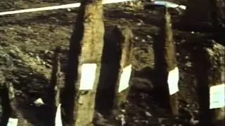 Excavations at Billingsgate Market (BIG82) 1982