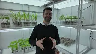Christopher Kilmurray, Commercial Director of Ceres Demeter, tells us about the latest developmen...