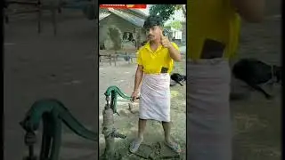 #rostig #shorts