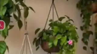 Vertical gardening ideas/garden ideas