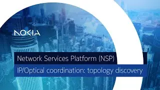 Automatic Topology Discovery for IP/Optical Networks