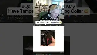 xQc Discovers Hasan May Have Tampered with the Dog Collar 😳 #kick #clips #xqc #hasan