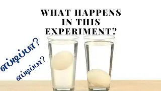 DENSITY | REASON FOR FLOATING EGG| FLOATING EGG EXPERIMENT