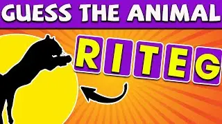 ✔️ Can You Guess the Animal by its Scrambled Name? | Animal Quiz