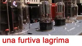 6C33C-B SET amplifier sound reproduction test ; model B-3A FLUXION audio