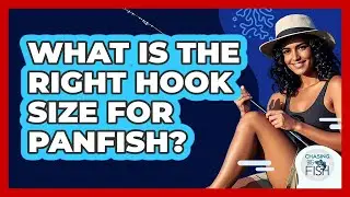 What Is The Right Hook Size For Panfish?