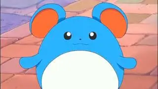 Azurill, Marill, and Azumarill Pok&eacute;dex Entries..wmv