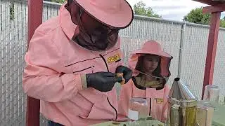 Apiguard treatment pt. 3
