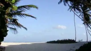 bottom bay beach barbados