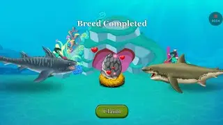 Breeding a Hybodus with a Megalodon(Dino Water World)
