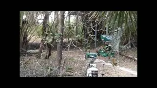 Sony SR-12 Test Video