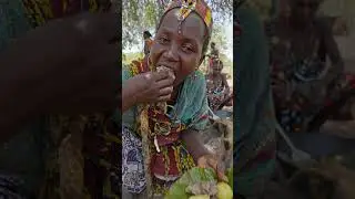 Hadzabe Cooking Under Tall Tree Canopy #Hadzabe #TreeCanopy #PrimitiveCooking #WildFood #shorts