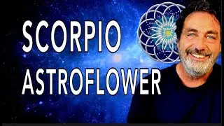 СКОРПИОН ♏️ ЭТО ВАШЕ ВРЕМЯ! 💫 Вы сами решаете, как будут расти любовь и деньги, на ваших условиях...