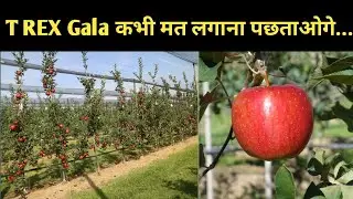 T REX Gala: Unveiling the Secrets of Lower to Higher Elevation Areas ll गर्म क्षेत्रों में trex gala