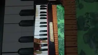 बड़ा निक लागे राघव जी के गउंवा,🙏🎹#bhakti#song#long video#जय श्री कृष्ण#जय श्री राम#musician#music#mu