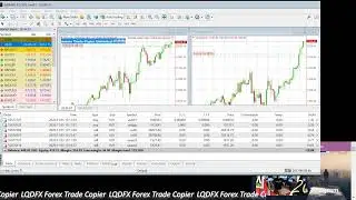 KouLeeFX LQDFX Free Trade Copier for LQDFX Affiliates #LQDFX