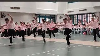 Wudang Taiji Sword 武当太极剑