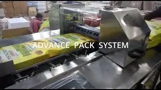 EXTRA BIG BAKERY PRODUCTS PACKING MACHINE FLOW WRAP  300