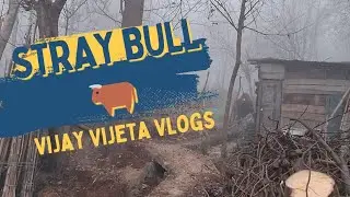 गांव में आवारा सांड से मचा हड़कंप 🐂😱 | किसान फसल बचाते हुए 🌾🚜 | Malori Four Lane Tunnel Vlog 🚧🔥
