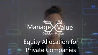 Equity Allocation for Private Companies and their Investors