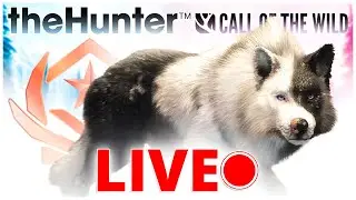 Will it spawn today?! 900+ kills into the Great One Grind! - theHunter Call of the Wild