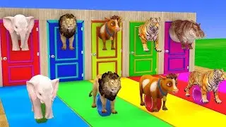 Long Slide Game With Cow Elephant Gorilla Hippopotamus Tiger 3d Animal Game Funny 3d Animals