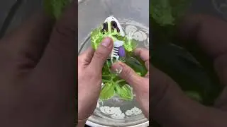 Adding a frog to slime