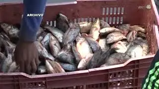 Siete cooperativas de pescadores del lago de Chapala piden a Lemus que les asigne 20 millones