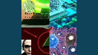 N.H.E.A.