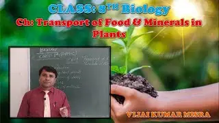 Transport of food & Mineral in Plants:Biology by VKM Sir for form C (Class VIII) VBS