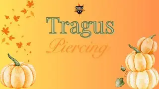 Tragus Piercing im Studio &ndash; sie hat nicht mal gezuckt! 😍🔥 I💉 Marc's Piercing TV