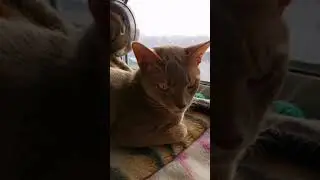 Я улыбаюсь этому миру 