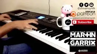 Lions in the Wild- Martin Garrix and Third Party \\ Piano Cover