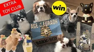 BarkBox/ May 2018 *Small Dogs*Chihuahua* unboxing/ EXTRA TOY CLUB ( Age of the Furadh Egyptian )