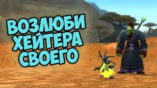 Хейта не существует. WoW Hardcore. 02.02.2026