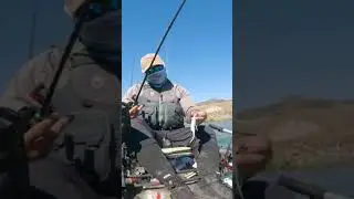 How to find feeding bass w/ chatterbaits #kayakbassfishing #bassangler #bassfishing #fish