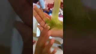 Slime  masti....😖😖😖(1)