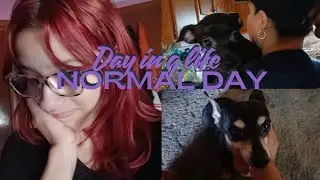 Day in a Life 🍥 First Vlog, playtime with my puppy, cleaning 