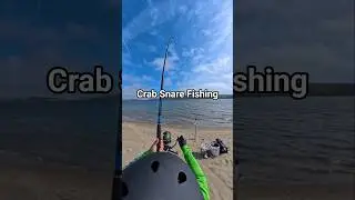 Crab Snare Fishing in Lawson's Landing #fishing #fishingshorts #fishingvideo #crabbing #crabsnare