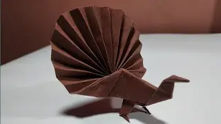 Cara membuat origami burung merak