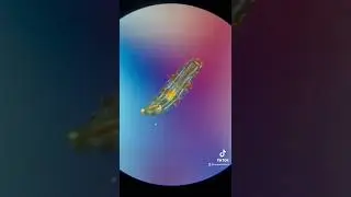 Bottled water sample under the microscope!
