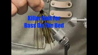 Sight Fishing, Bass Bed Bait