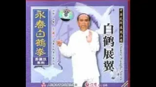 White Crane Spreads Wings. Fukien Wing Chun White Crane Style (Part 2)