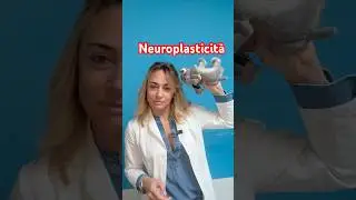 #neuroplasticit&agrave; #cervello #perte #chiropratica #chiropratico #como #neurona #nervi #chiropraticomo