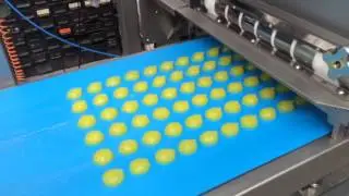 Roto Charge Multi Head Depositor