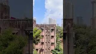 Sewri fort||Mumbai||Sewri||MAHARASHTRA||
