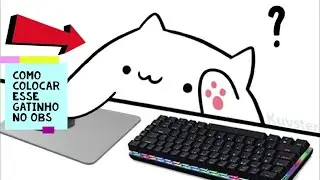 Como colocar o famoso gatinho no Obs para fazer live na twitch (bongo cat)